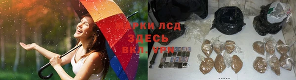 PSILOCYBIN Навашино