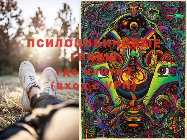 PSILOCYBIN Навашино