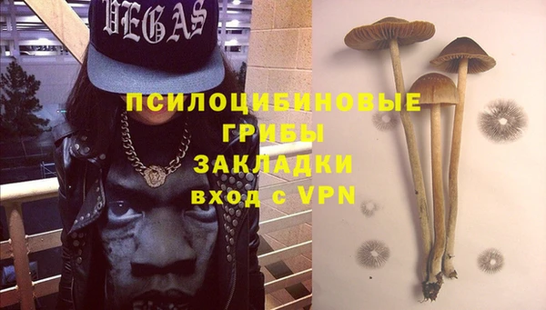 ПСИЛОЦИБИНОВЫЕ ГРИБЫ Алексеевка