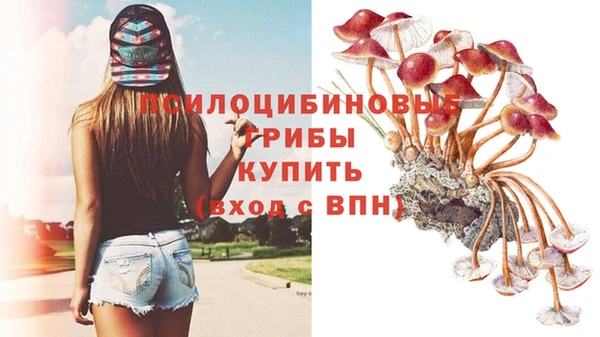 PSILOCYBIN Навашино