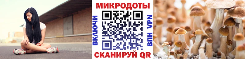 Псилоцибиновые грибы мицелий  хочу   mega как зайти  Александров 